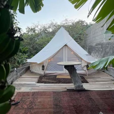 ホテル Yurt In Avocado Garden グイマー エクステリア 写真