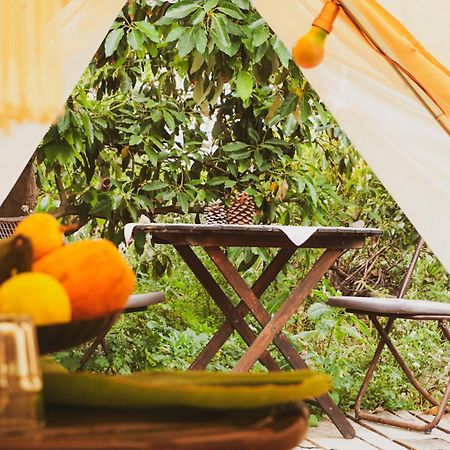 ホテル Yurt In Avocado Garden グイマー エクステリア 写真
