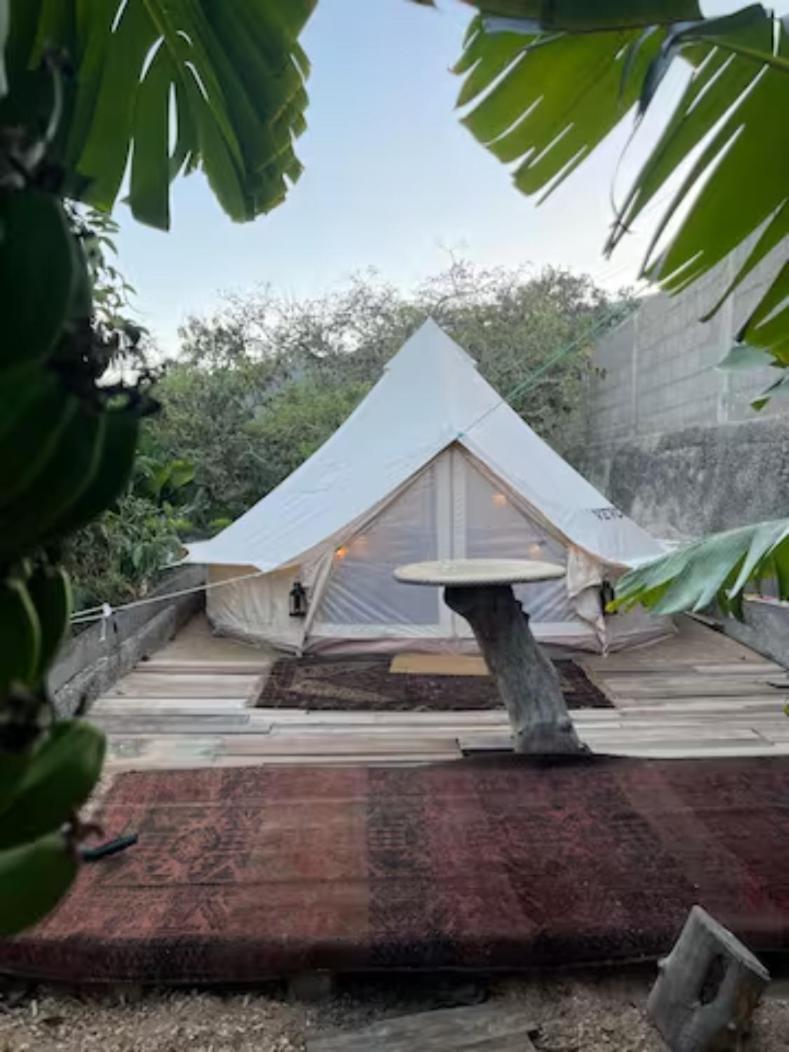 ホテル Yurt In Avocado Garden グイマー エクステリア 写真