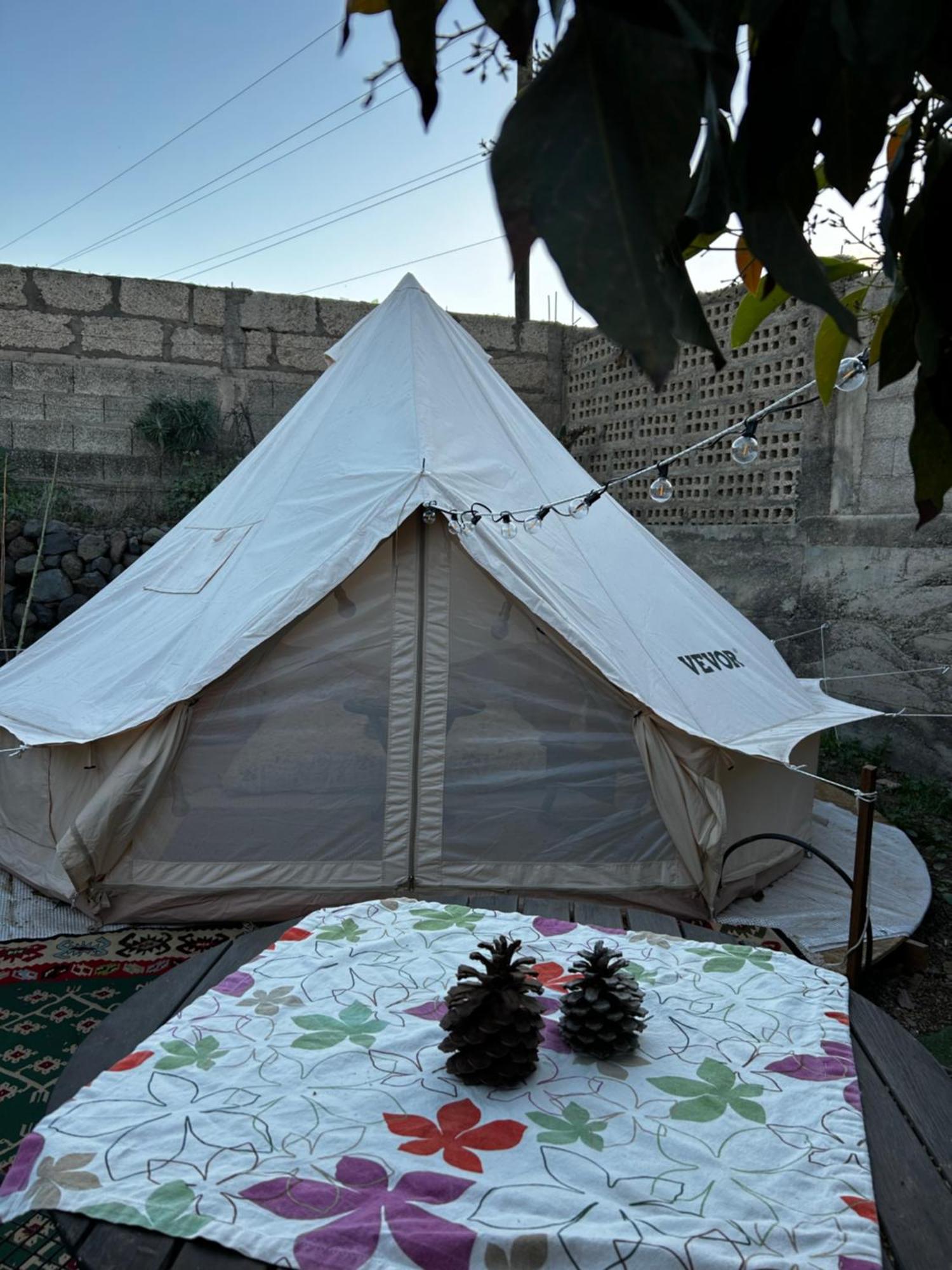 ホテル Yurt In Avocado Garden グイマー エクステリア 写真