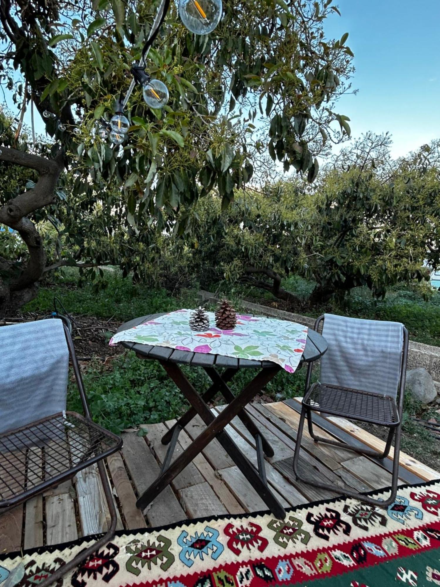ホテル Yurt In Avocado Garden グイマー エクステリア 写真