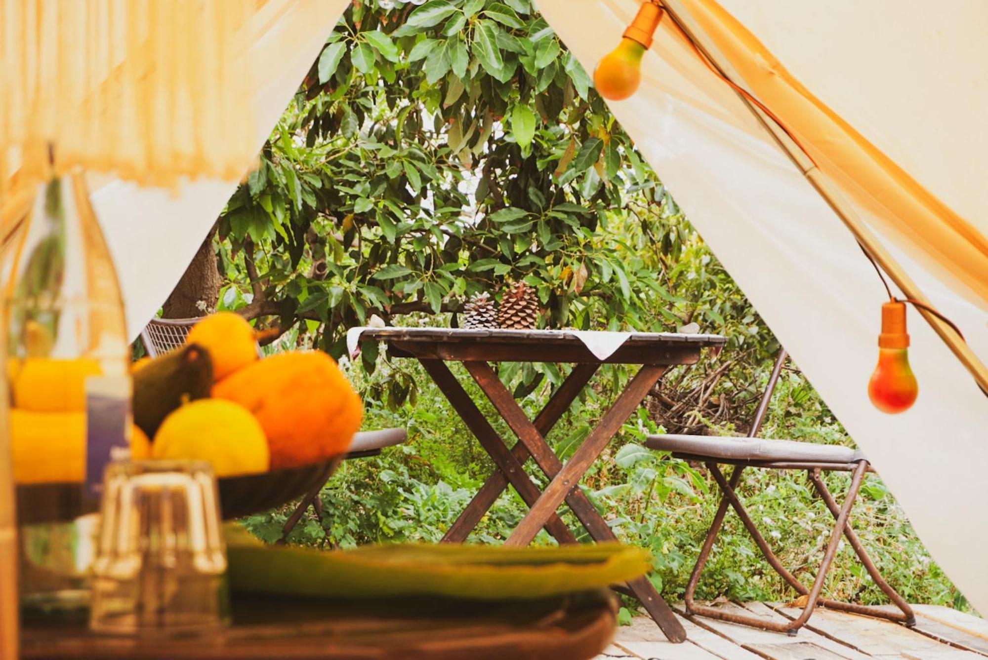 ホテル Yurt In Avocado Garden グイマー エクステリア 写真