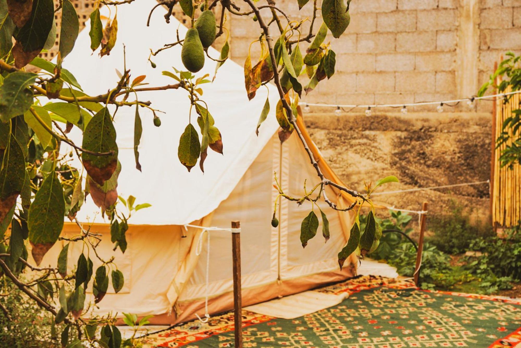 ホテル Yurt In Avocado Garden グイマー エクステリア 写真